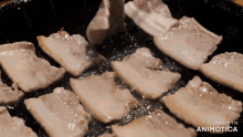 slices of meat are being cooked in a frying pan with the words made in animotica below it