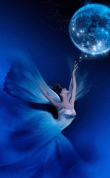 Fairy Moon GIF
