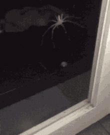 Spider Window GIF - Spider Window Bug GIFs