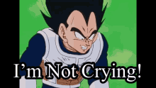 Vegeta Crying Dragon Ball Z Abridged GIF - Vegeta Crying Dragon Ball Z Abridged Vegeta Cries Like A Bitch GIFs