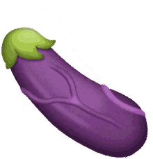 hard eggplant