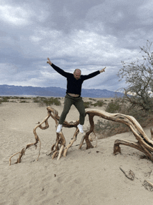 a man in a black sweater is jumping over a tree branch in the desert