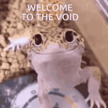 void voided smiling lizard serious gamers