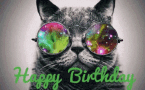 Happy Birthday Cat GIF - Happy Birthday Cat Galaxy Sunglasses GIFs