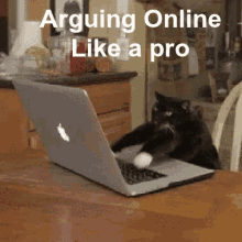 Like A Pro GIF - Cat Laptop Online Argument GIFs