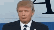 Trump Donald Trump GIF - Trump Donald Trump Donald GIFs