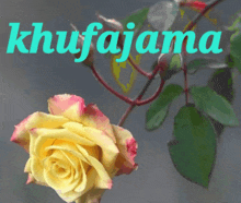 Khufaja GIF - Khufaja GIFs