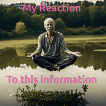 Reaction Meditation GIF - Reaction Meditation Hovering GIFs