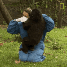 Dont Pull My Hair Protecting Orphaned Gorillas GIF - Dont Pull My Hair Protecting Orphaned Gorillas Mission Critical GIFs