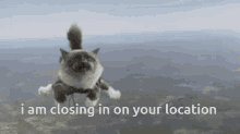 Cat Cat Flying GIF - Cat Cat Flying I Am Closing In On Your Location GIFs