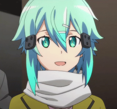 Sword Art Online Sao GIF - Sword Art Online Sao Sinon GIFs