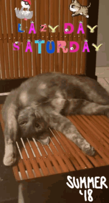 Saturday Lazy GIF - Saturday Lazy Cat GIFs