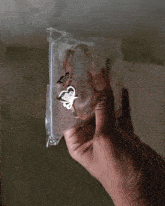 a person is holding a plastic bag that has a butterfly on it