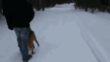 Dog Play GIF - Dog Play Snow GIFs
