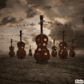 a group of violins are lined up against a cloudy sky with pixiz written on the bottom