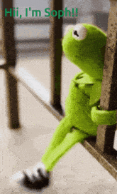 a kermit the frog sits on a railing with the words hi i 'm soph