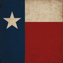 a texas flag with a picture of a couple kissing on it