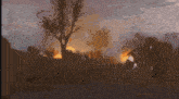 a group of people are standing in front of a burning forest