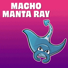 a cartoon drawing of a stingray with the words macho manta ray below it