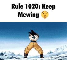 Goku Rules GIF - Goku Rules 1020 GIFs