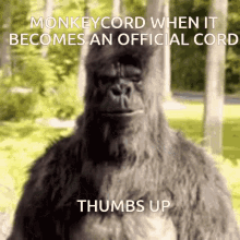 Monkeycord Gorilla GIF