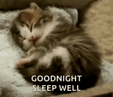 tired good night sweet dreams