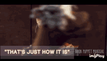 Deal With It Thats Just How It Is GIF