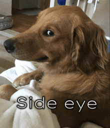 Side Eye GIF - Side Eye GIFs