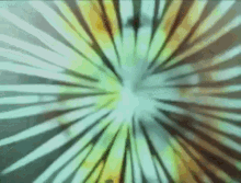 золотая рыбка кот леопольд союзмультфильм GIF - Goldfish Kot Leopold Soviet Animation GIFs