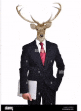 Deer Business Hood GIF