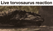 a picture of a crocodile with the words " live torvosaurus reaction " above it