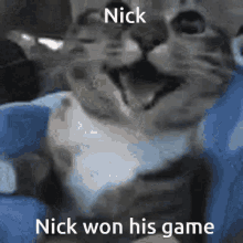 Nick Won GIF - Nick Won Game GIFs