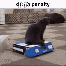 Life Cat GIF - Life Cat Life Penalty GIFs