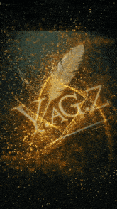 a logo for vagz is surrounded by gold sparkles
