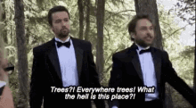 Trees What The Hell Is This Place GIF - Trees What The Hell Is This Place Charlie Day GIFs