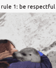 seal seals discord discord rules hug