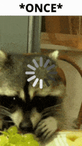 a picture of a raccoon eating grapes with a loading screen above it that says once