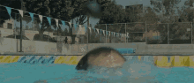 Swimming Shocked GIF - Swimming Shocked Worried GIFs