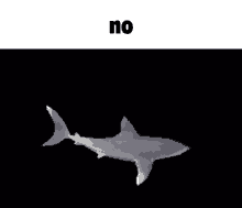 Shark No GIF - Shark No Shark Meme GIFs