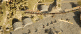 an aerial view of a train going down the tracks with a few buildings in the background