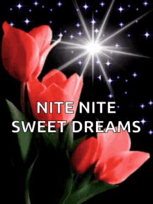 Nite Sweet Dreams GIF - Nite Sweet Dreams Sparkles GIFs