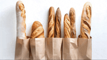 Baguette Bread GIF - Baguette Bread GIFs