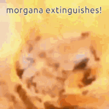 a close up of a yellow object with the words `` morgana extinguishes '' written on it .