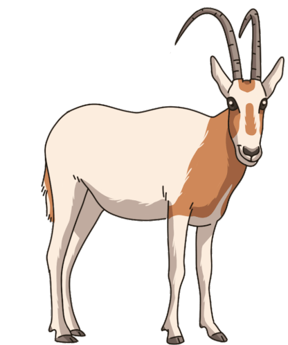 Antelope Oryx Sticker - Antelope Oryx Scimitar Horned Oryx Stickers