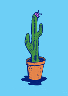a drawing of a cactus with a pink flower growing out of it