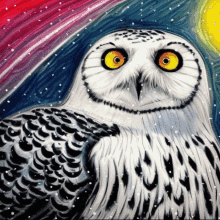 Snowy Owl Owl GIF - Snowy Owl Owl Owls GIFs