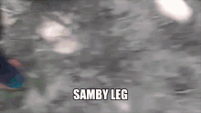 Samby Stanky Leg GIF - Samby Stanky Leg Nae Nae GIFs