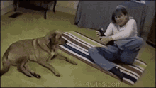 Yoga Dog GIF - Yoga Dog Flexible GIFs