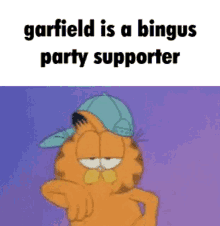 Garfield Bingus GIF - Garfield Bingus Bingus Party GIFs