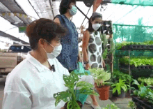 Plant Asapapailong GIF - Plant Asapapailong Mero Studio GIFs